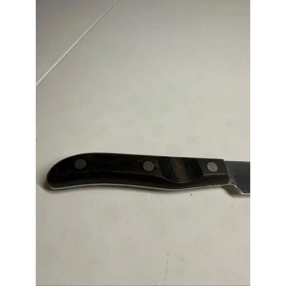 Vtg Oneida ENTREE CUTLERY Serrated Stainless Carving Knife 10